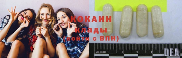 винт Верея