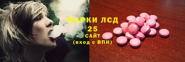 винт Верея