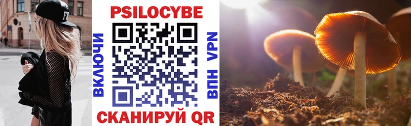 Галлюциногенные грибы Psilocybine cubensis  Волосово 